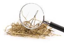 Bild: Fotolia LLC.